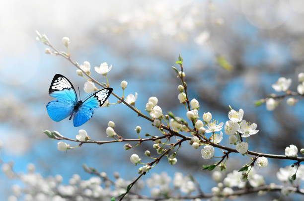 Finding Peace and Celebration: FPH's Spring Memorial Event